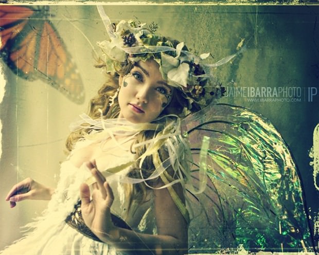 IbarraPhoto_Winged_Cover